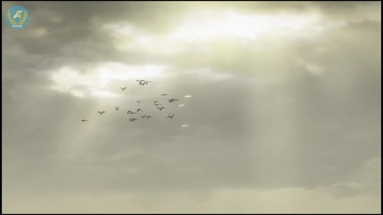 Кадр 2