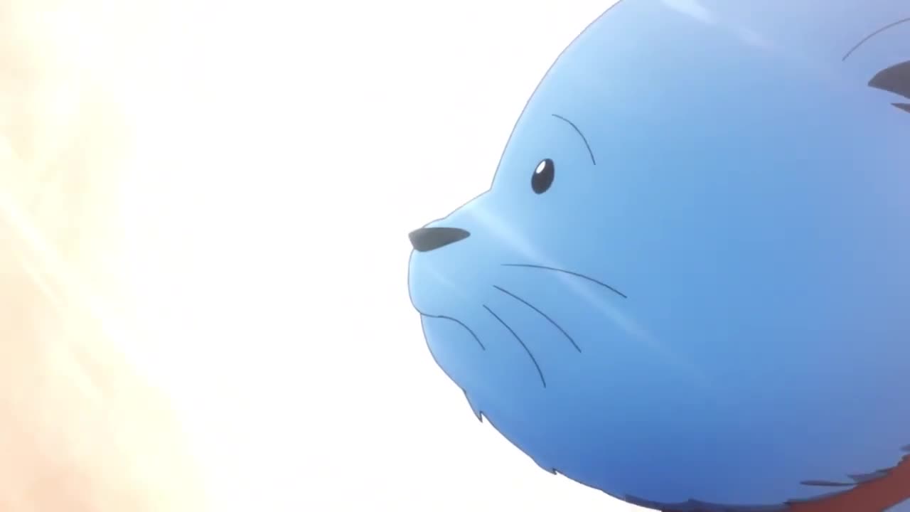 Кадр 5