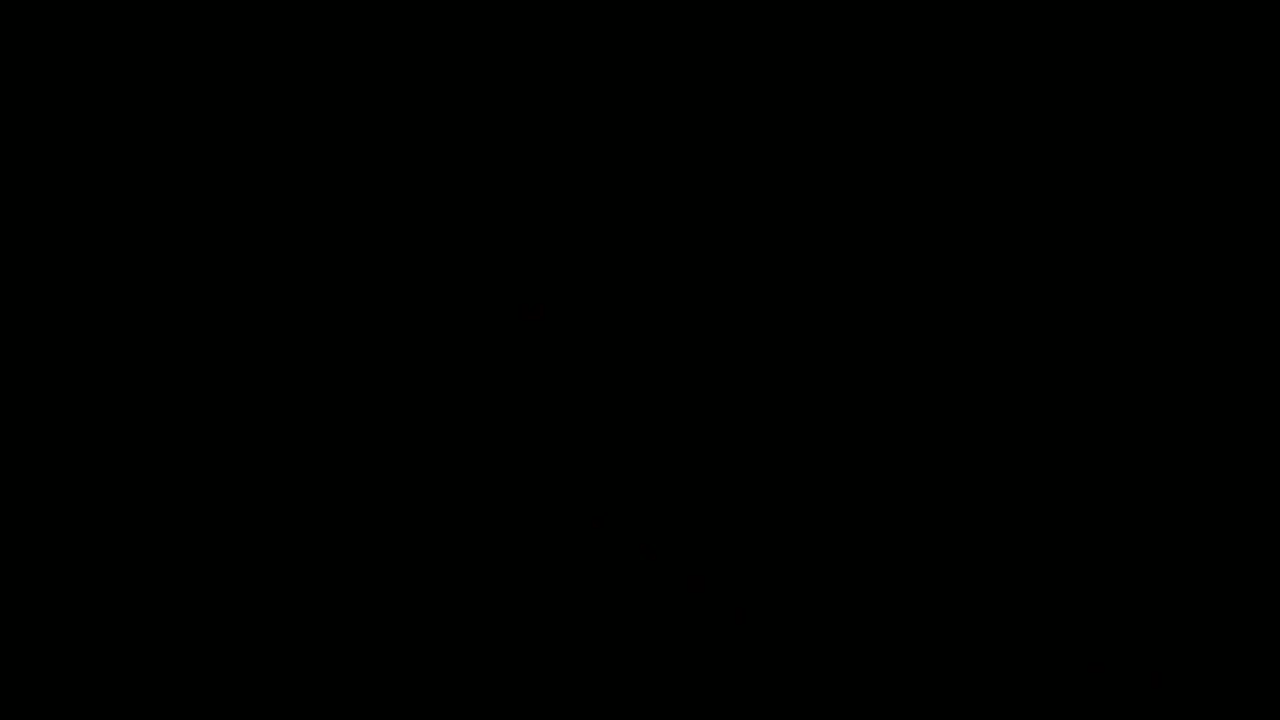 Кадр 0