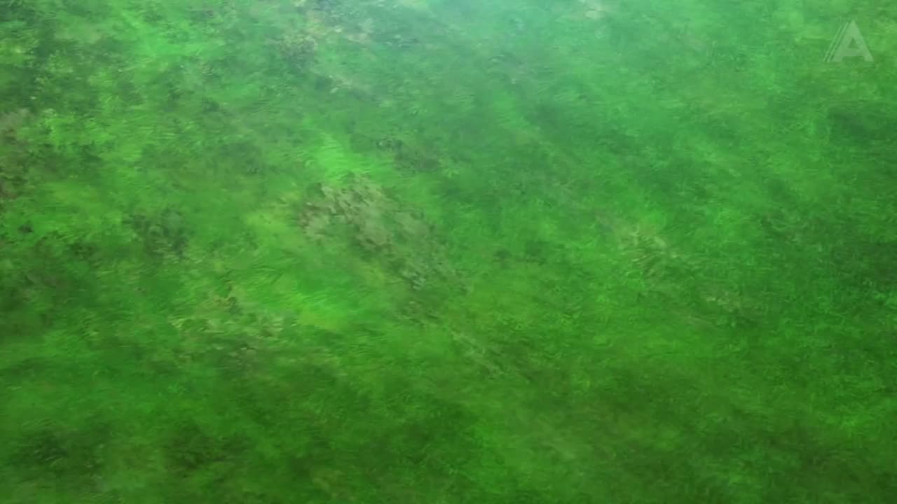 Кадр 5
