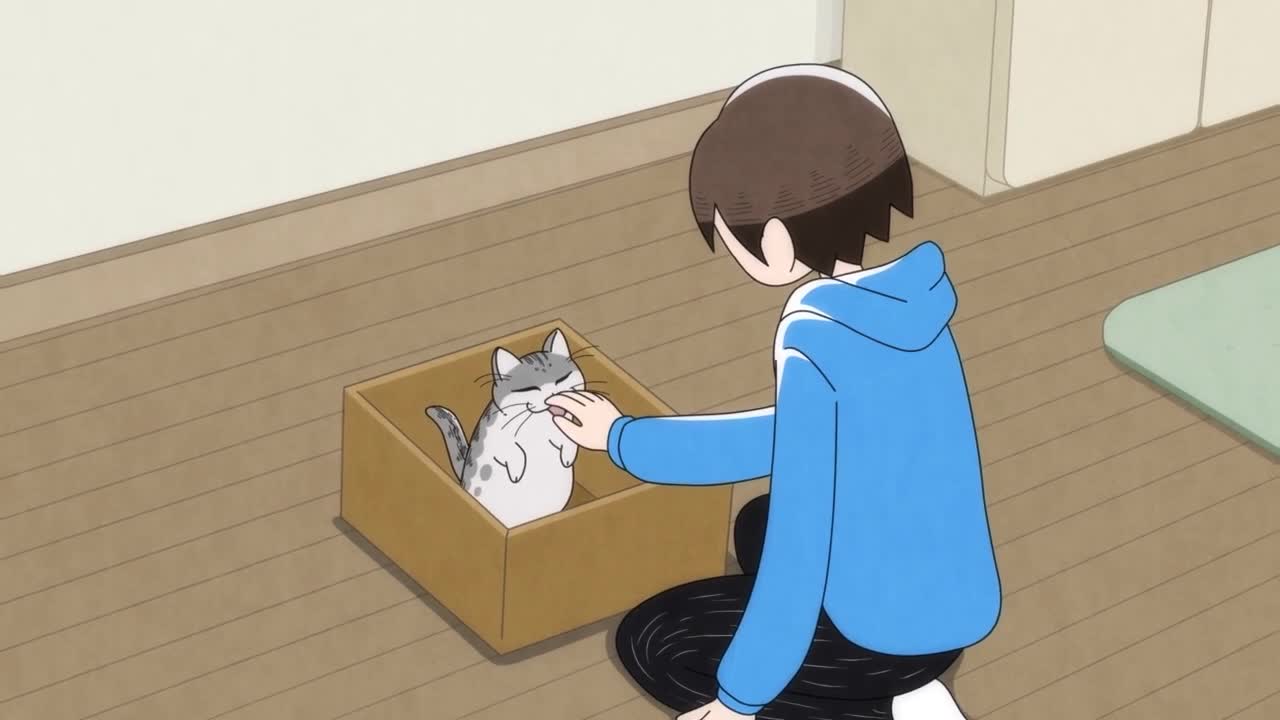 Кадр 0