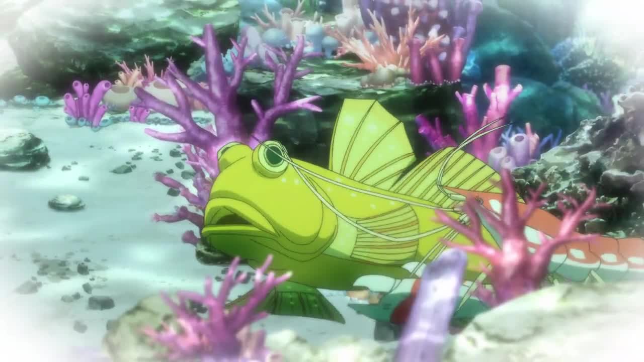 Кадр 0